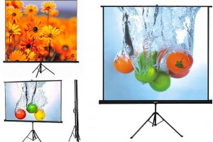 Bạn Cần mua màn chiếu di động siêu nhỏ cho xe hơi 4 chỗ ???