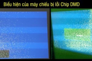 máy chiếu bị đốm hình