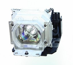 bóng đèn máy chiếu sony